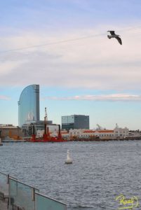 A pocos metros de la playa de la Barceloneta, se levanta una maga estructura de 98,8 metros de altura en forma de vela.